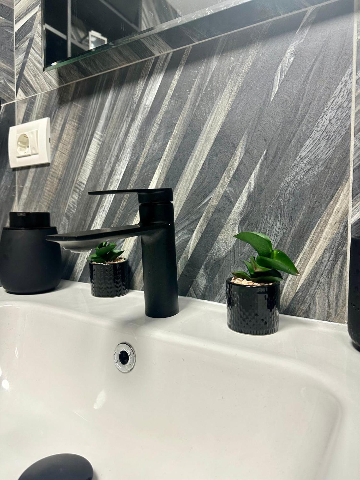 Ppu Home 蒂米什瓦拉 外观 照片