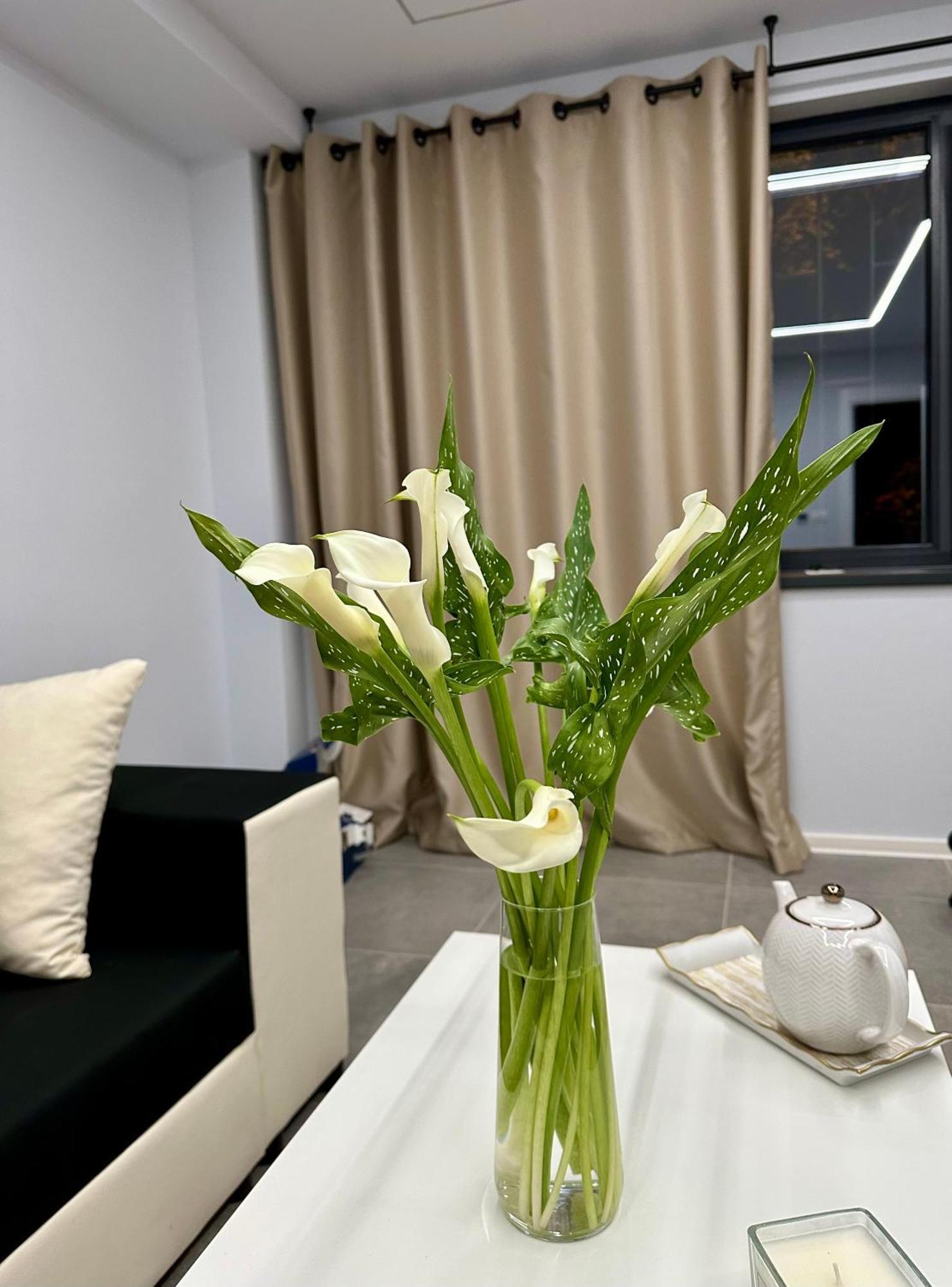Ppu Home 蒂米什瓦拉 外观 照片