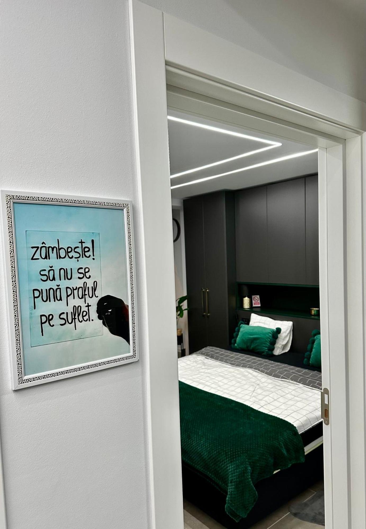 Ppu Home 蒂米什瓦拉 外观 照片