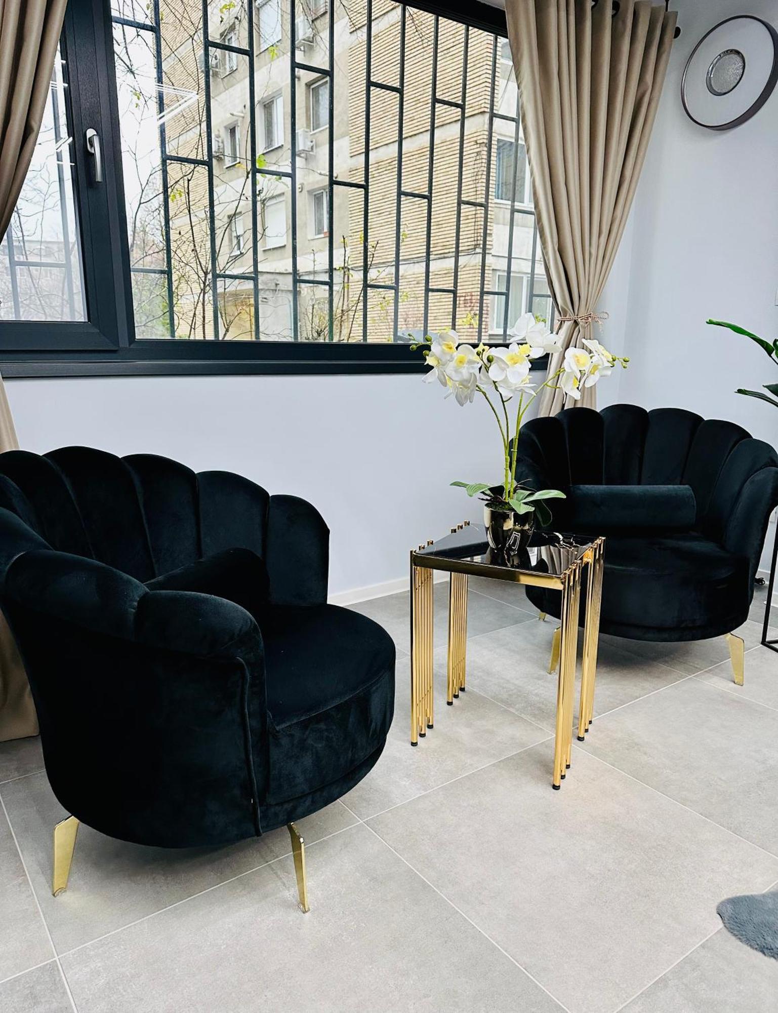 Ppu Home 蒂米什瓦拉 外观 照片